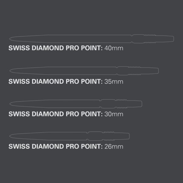Target Swiss Diamond Pro silber