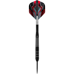 damon heta the heat steeldarts