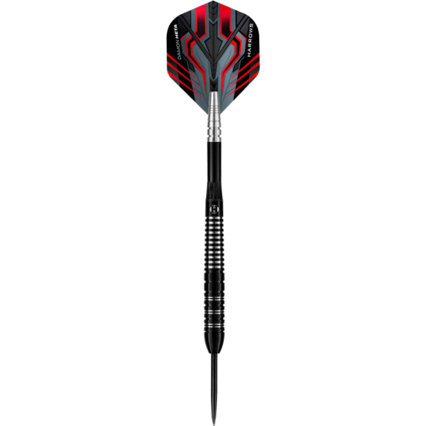 damon heta the heat steeldarts