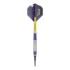 target luke littler brass softdarts