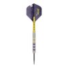 target luke littler loadout steeldarts