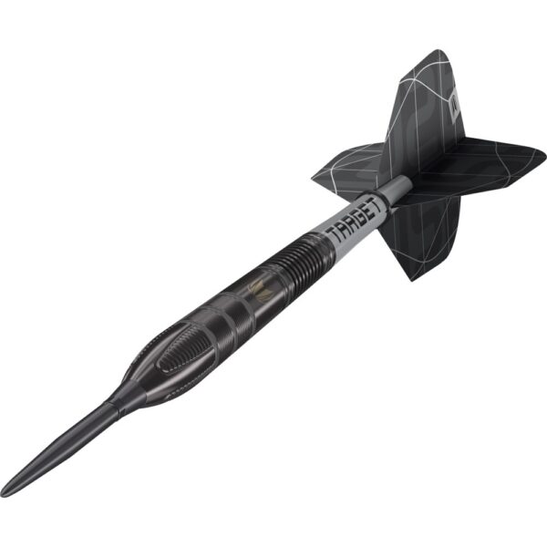 Target Nathan Aspinall Echo Steeldarts