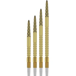 Target DS Swiss Point Gold