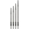 Target DS Swiss Point Silber