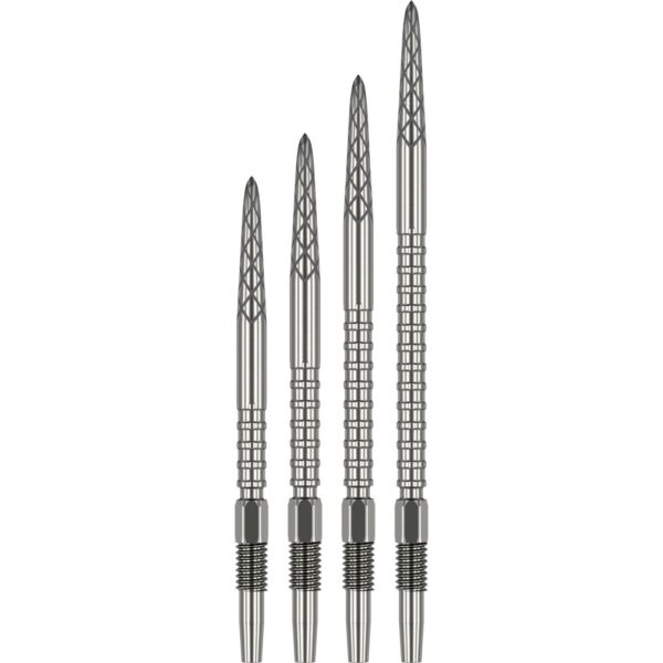 Target DS Swiss Point Silber