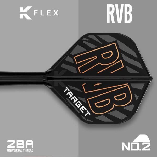 Target Raymond van Barneveld K-Flex